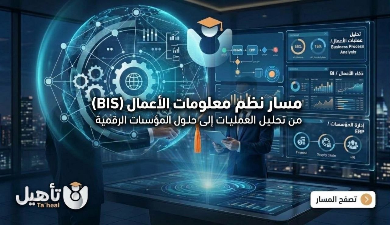 نظم معلومات الأعمال BIS